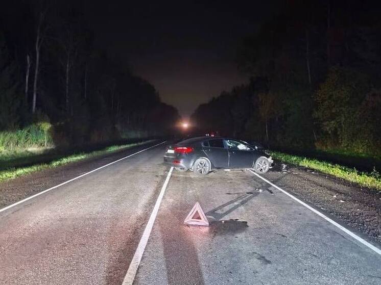 В аварии в Медынском районе пострадали шесть человек
