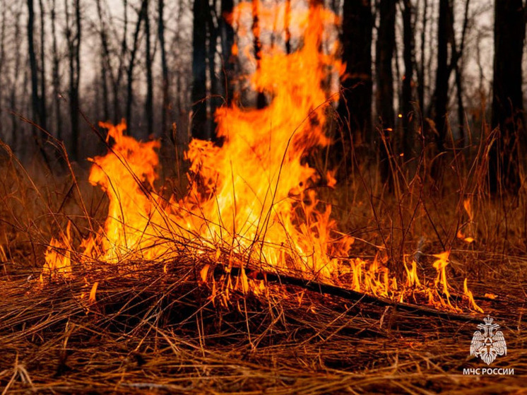 Пожароопасный период объявили в трех районах Хабаровского края