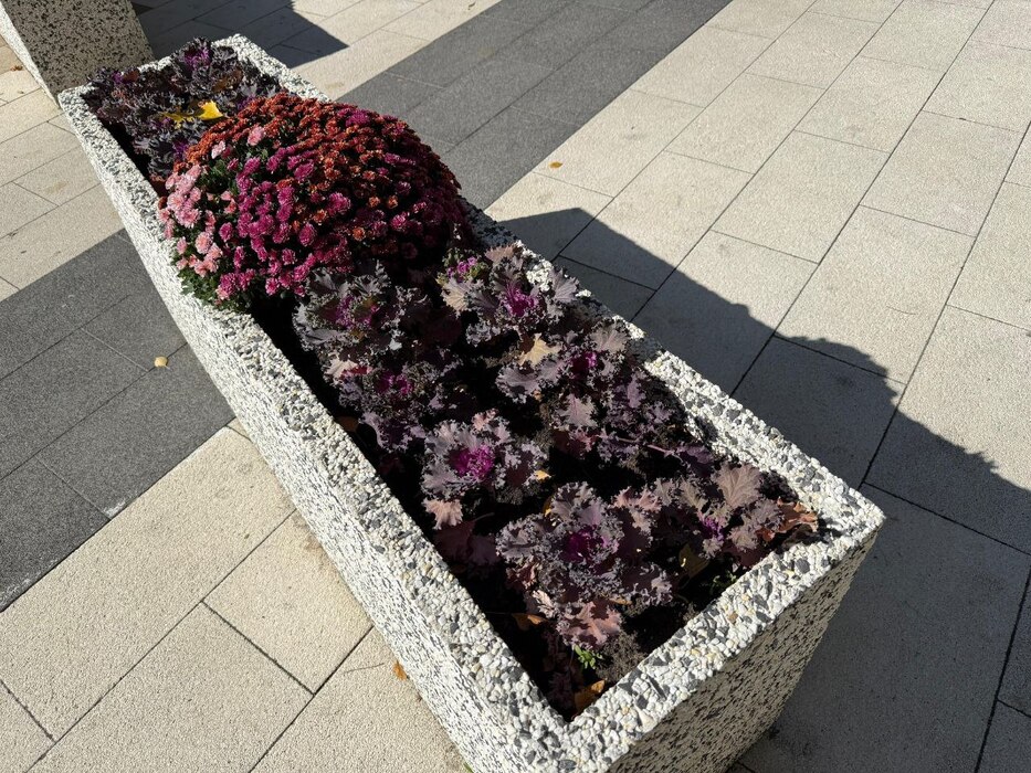 Яркий микс осенних растений