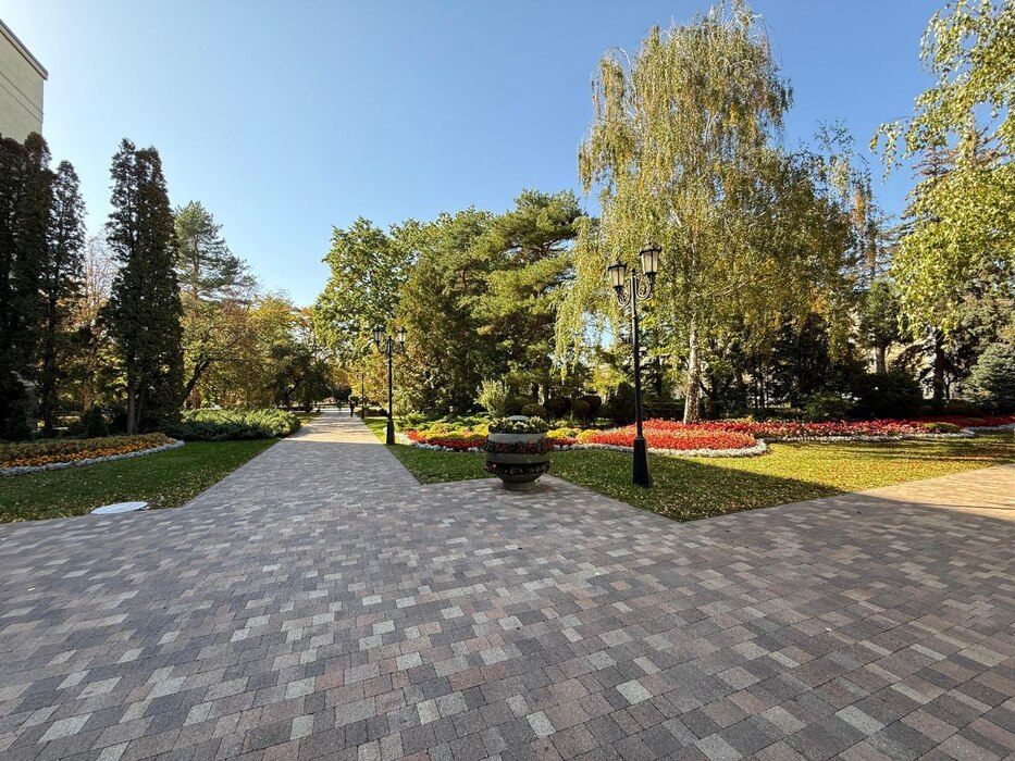 Разнообразие осенних цветов