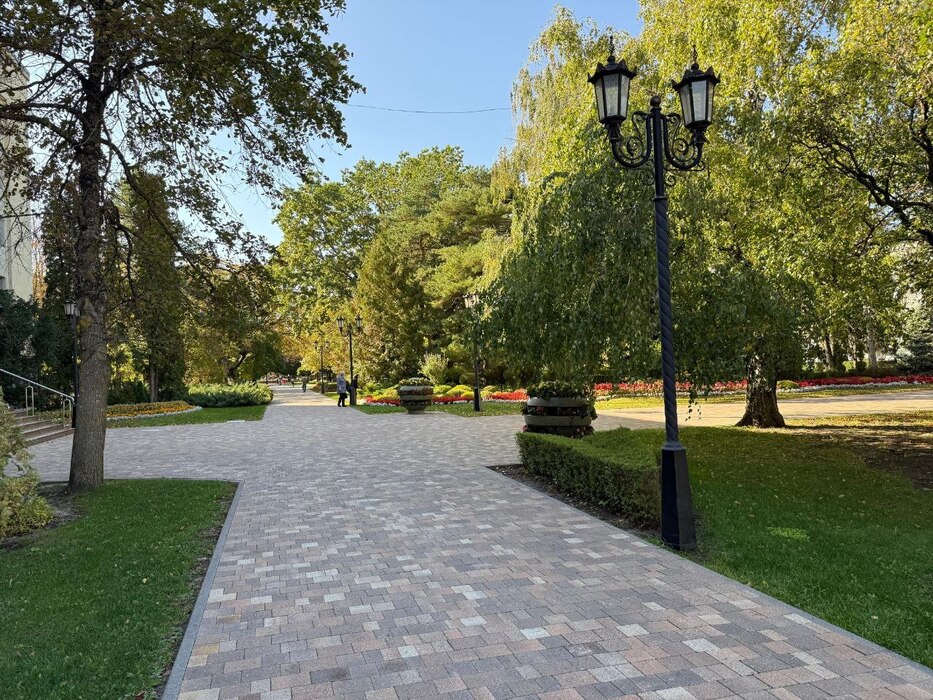 Цветущие растения у памятника