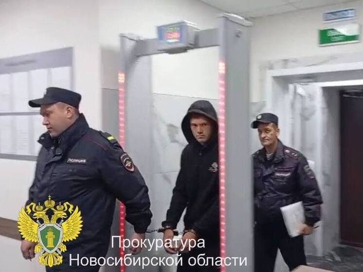 Обвиняемого в убийстве 19-летней девушки взяли под стражу в Новосибирской области