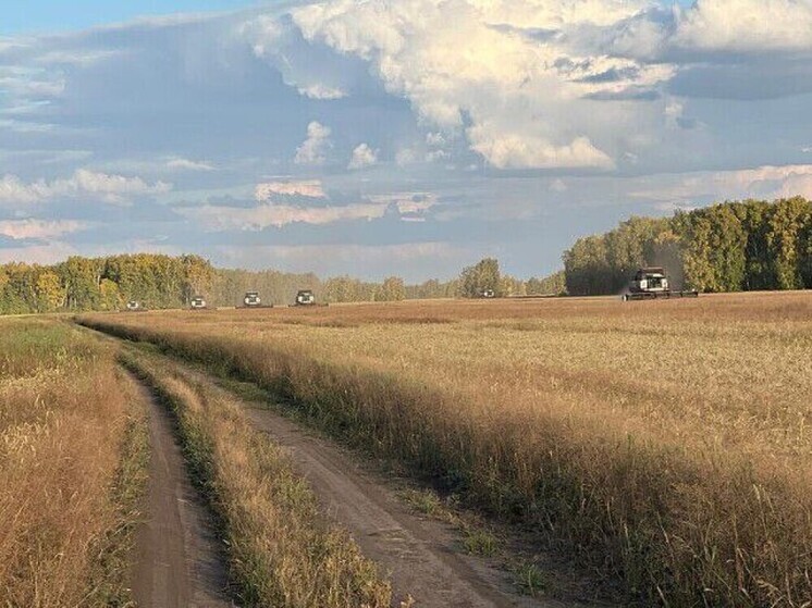 Дело о мошенничестве на 11,4 млн под Новосибирском прокомментировали в «Татарскзернопродукт»
