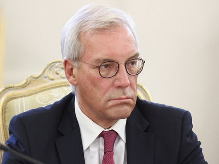 Грушко: ЕС ведет подготовку к военному конфликту с Россией