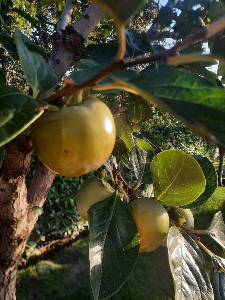 Предприниматели из ЛНР получили субсидии на сумму более 113 млн руб. на развитие туризма