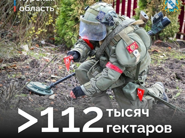 В Курской области разминировали 112 984 гектаров приграничья