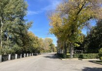 Какой сегодня день по народному календарю

7 октября в народном календаре отмечается День Феклы Запрядальницы