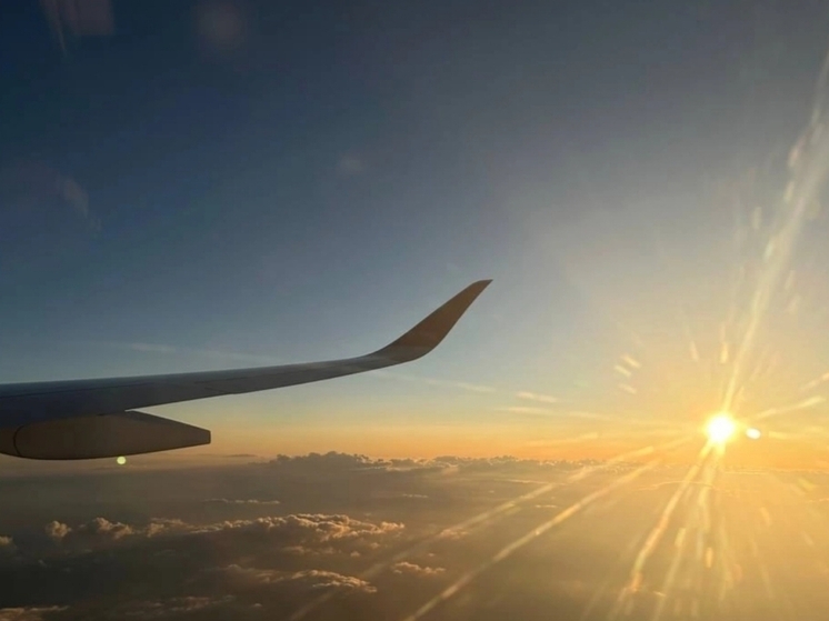 В Оренбуржье ищут самолет для лошадей