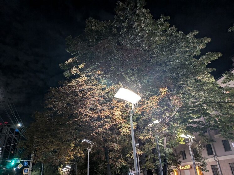 Семь районов Воронежской области погрузятся во тьму