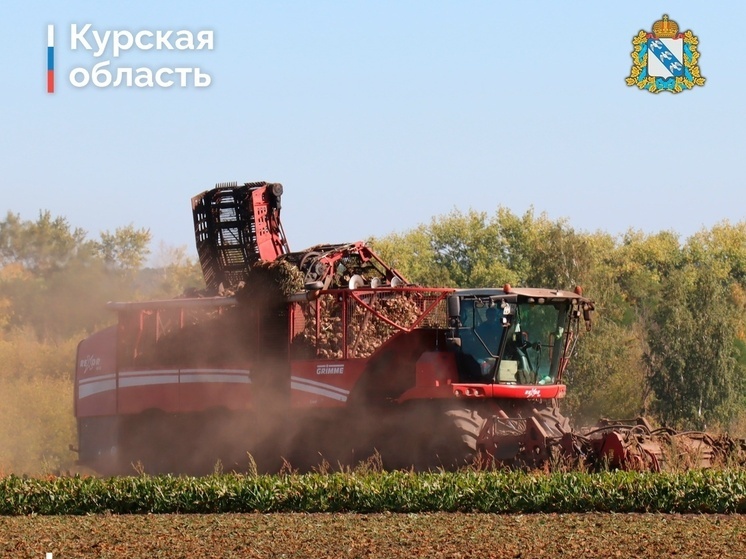 Курян пригласили на диктант на сельскохозяйственную тему