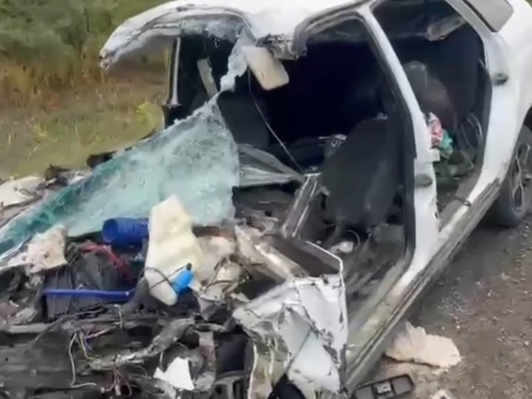 Смертельная авария из-за густого тумана произошла в Ростовской области