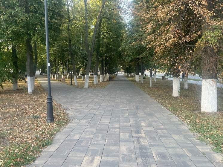 В Орловской области до выходных продержится тепло