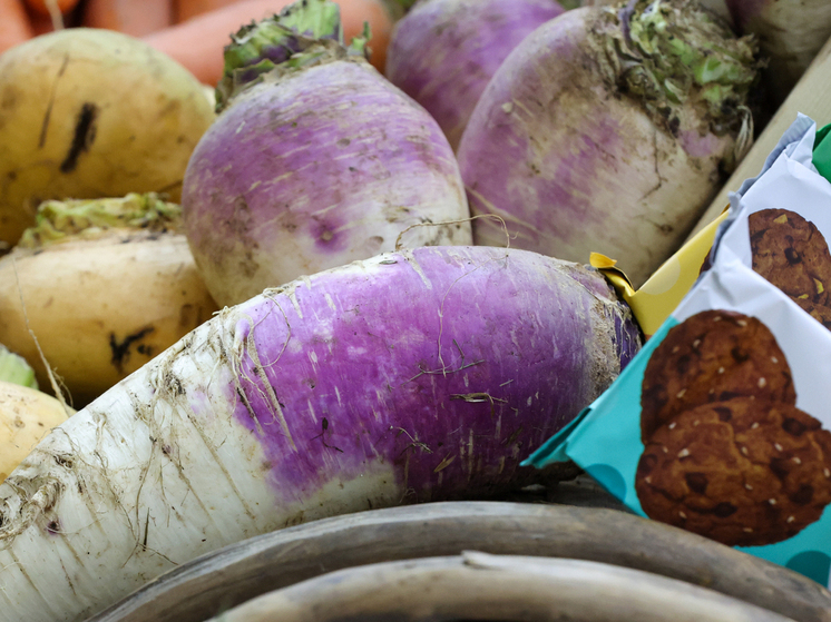 Россиянам рассказали, какие блюда можно приготовить из редьки