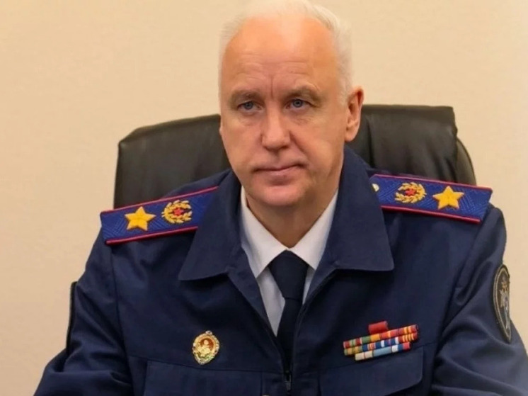 Глава СКР взял под личный контроль расследование о разбитых дорогах в Мичуринском НСO