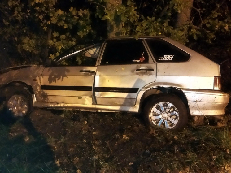 В Орловской области автомобиль съехал с дороги и врезался в дерево