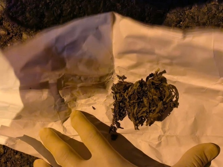 В Калмыкии водитель оказался под следствием сразу по двум статьям