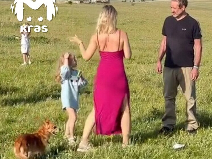 Поиски семьи Усольцевых в Красноярском крае: что известно на седьмые сутки поисков