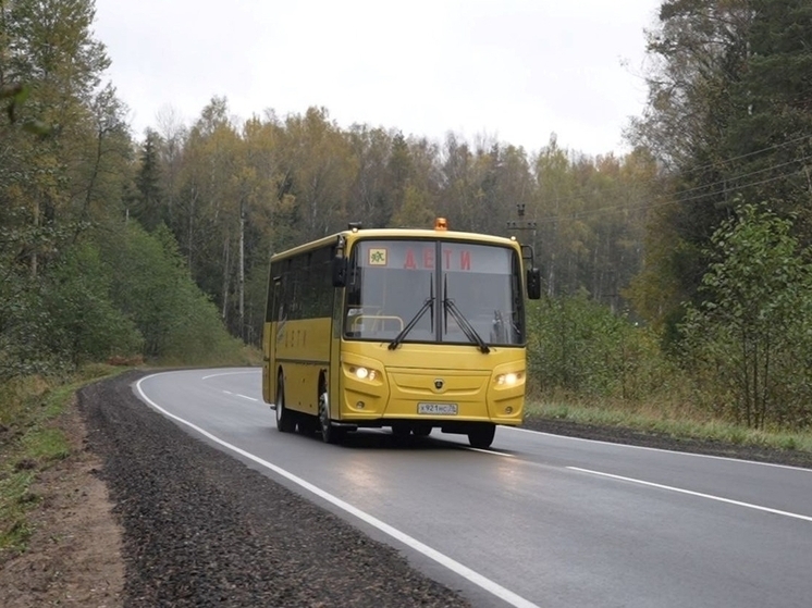 В Ярославской области теперь нет проблемы с подвозом детей в школы