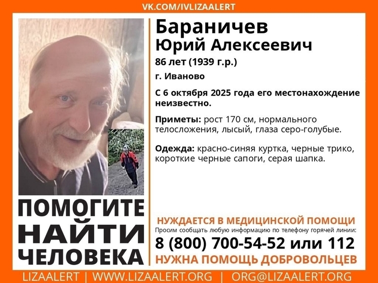 Ивановские волонтеры собираются в лес на поиски пропавшего пенсионера