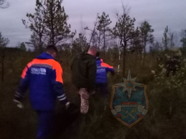 В Лужском районе спасатели не успели помочь заблудившемуся мужчине