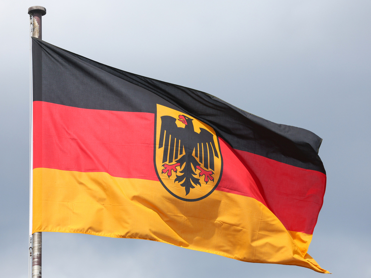 INSA: АдГ достигла рекордного уровня поддержки в 26,5 процента