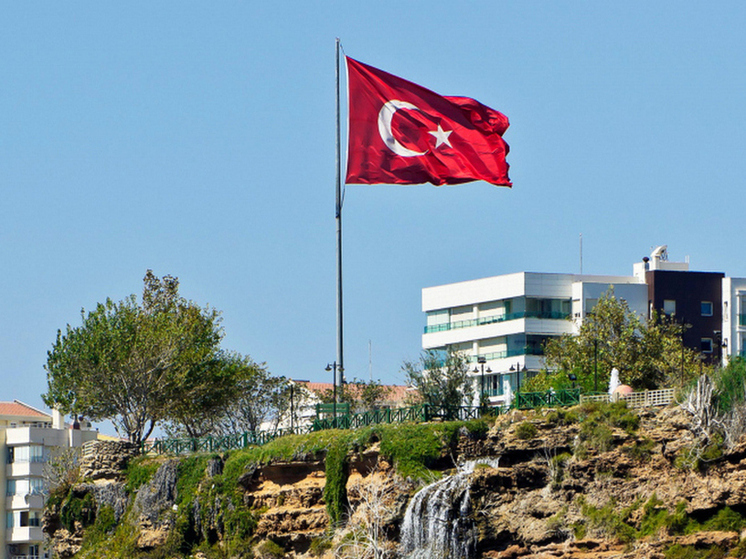 Эрол: США могут добить обратного эффекта из-за давления на Турцию