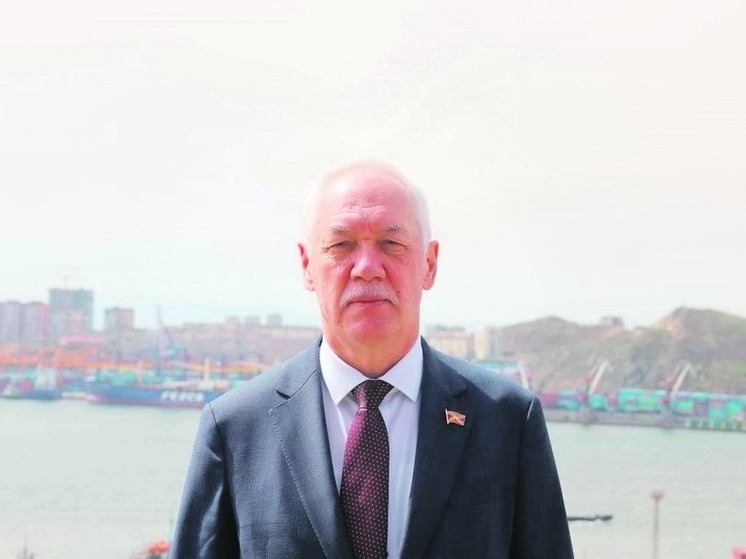 Депутаты Думы города Владивостока поздравляют жителей Приморья с Днем учителя