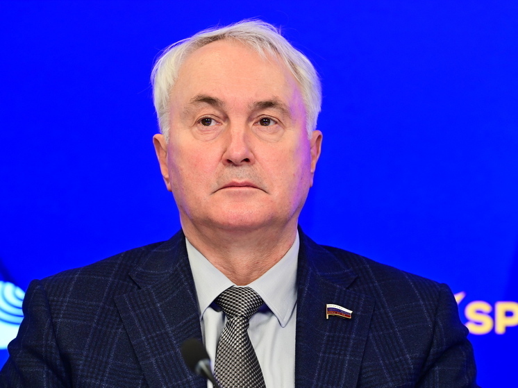 Картаполов: Россия не будет наносить удары по украинским АЭС в ответ на атаки ВСУ