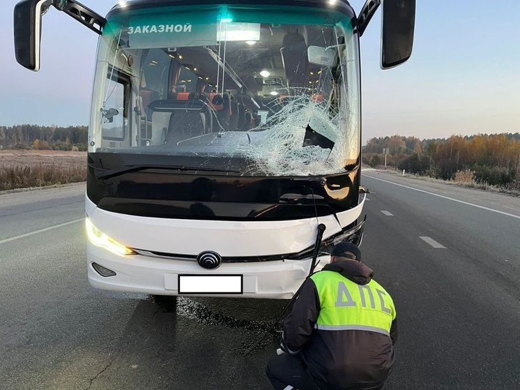 Автобус задавил пешехода, выбежавшего на дорогу возле Екатеринбурга