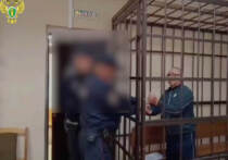 В Звенигове суд отправил 60-летнего мужчину в колонию строгого режима за десяток преступлений.