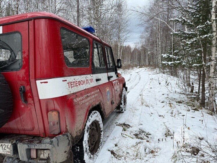 В районе поисков семьи Усольцевых в Красноярском крае появилась мобильная связь