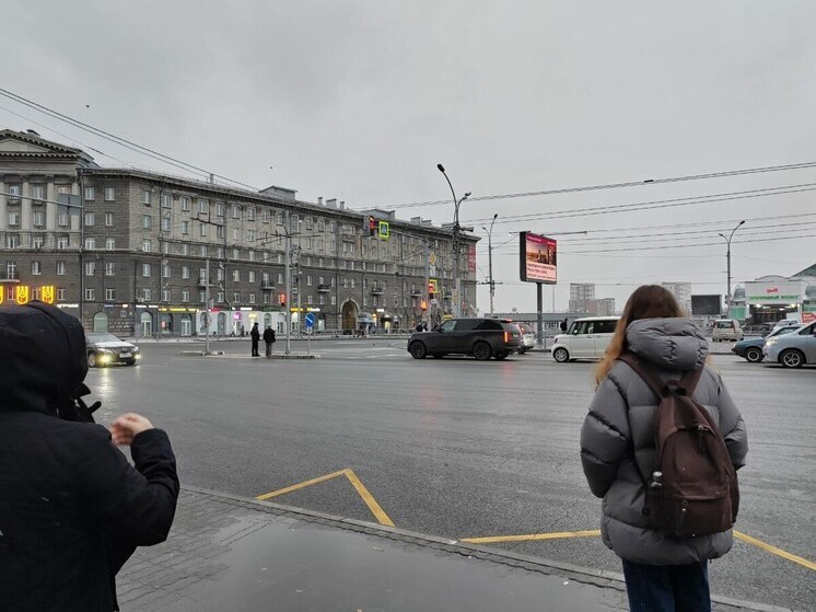 В Новосибирской области мигрантам запретили работать еще в трех сферах