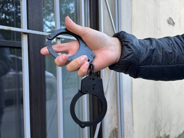 Полицейские задержали 19-летнего муринца по подозрению в нападении на курьера