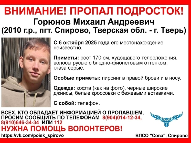 В поселке Тверской области попал подросток