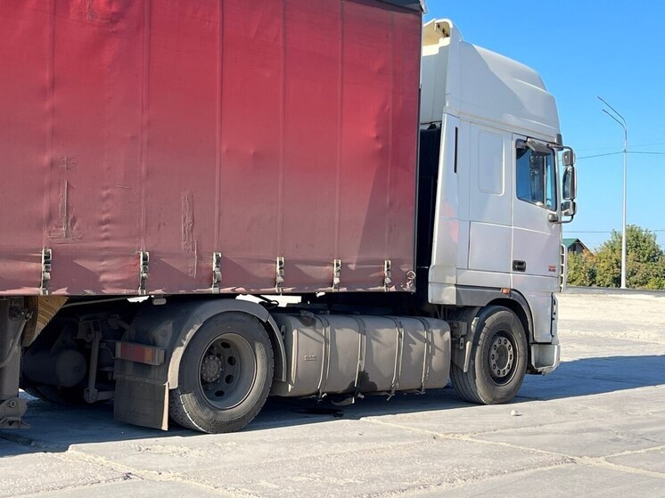 В Саратовскую область не пустили 46 тонн приправ и сухофруктов из Казахстана