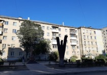 В начале октября вместо уничтоженных златкой ясеней на улице Горького в Саратове появились 55 клёнов серебристых