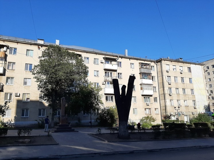 Мэрия Саратова объявила сезон осенних посадок