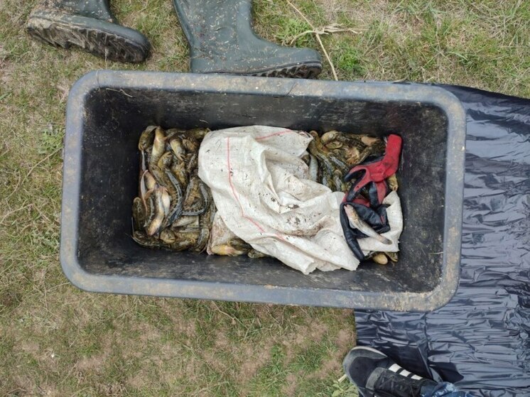 В Херсонской области поймали браконьера