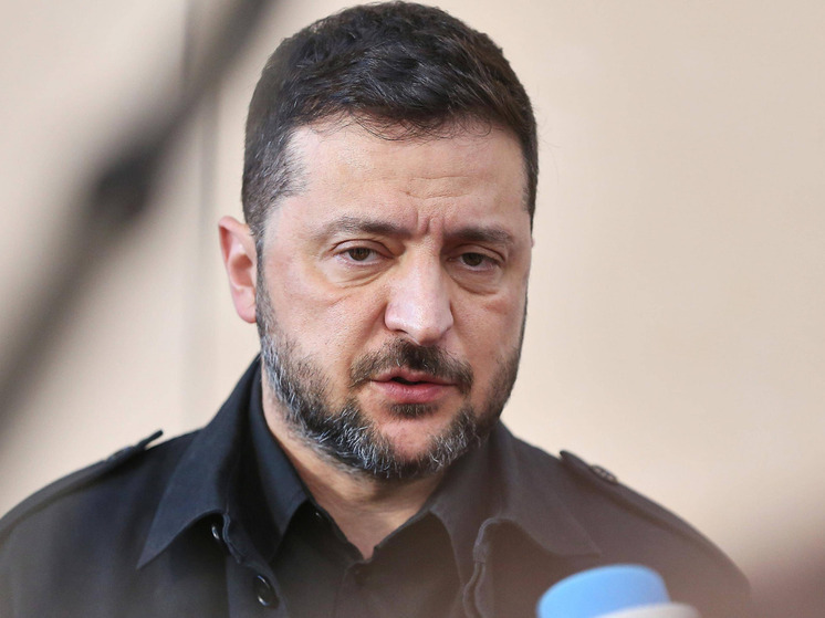 Боуз: Зеленский забыл, что не только Венгрия против вступления Украины в ЕС