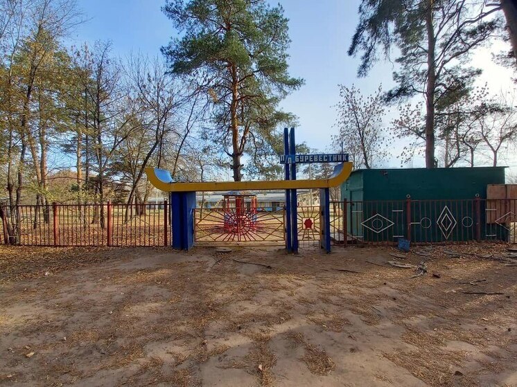 Саратовский депутат пригласил в детские лагеря школьников-иностранцев