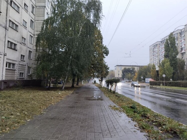 Дожди и туман придут в Белгородскую областью в среду