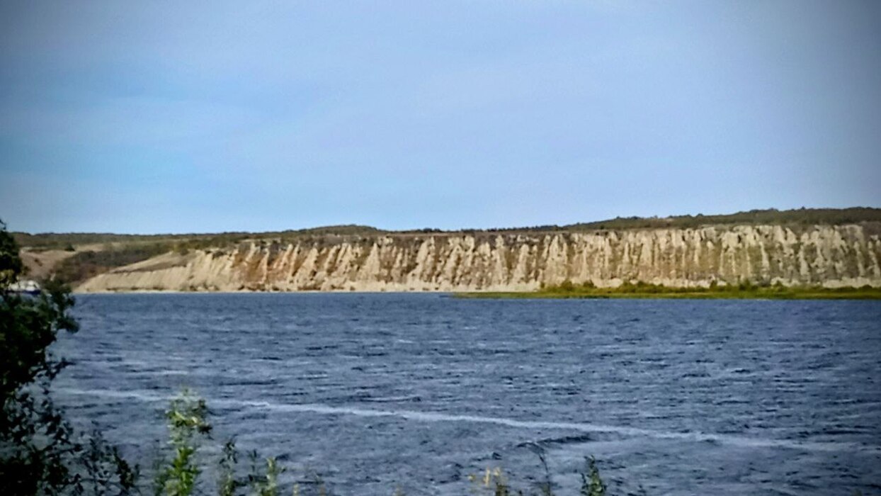 Заросшая беседка