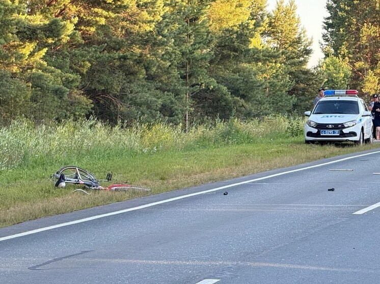 Перед судом предстанет житель Марий Эл, обвиняемый в гибели юного велосипедиста