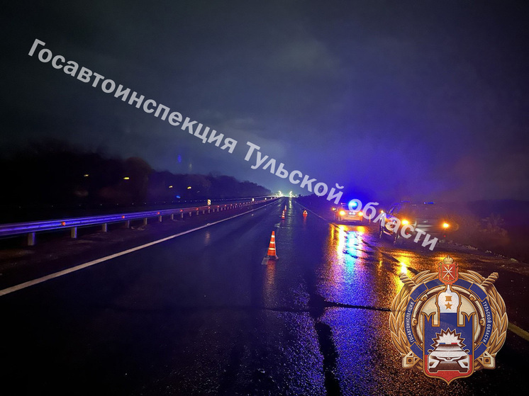 В Тульской области пешеход погиб под колесами Nissan на трассе М-4 "Дон"