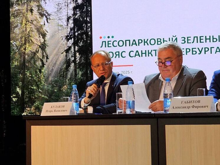 В Ленобласти планируется развернуть лесопарковый защитный пояс