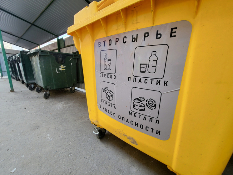 Тамбовчане отправили горы мусора на переработку в рамках нацпроекта «Экология»
