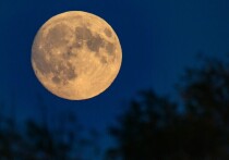8 октября 2025 года в России Луна находится в убывающей фазе в знаке Овна. Эта энергия побуждает к активным действиям, инициативе, но также требует осторожности, чтобы избежать импульсивности и конфликтов.