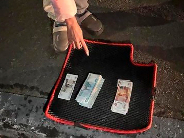 В Липецкой области на горячем поймали орловчанку