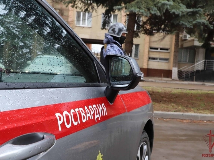 Росгвардейцы пресекли более 50 правонарушений в Тульской области за неделю