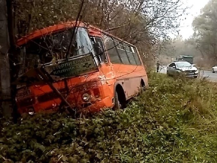 Пассажирский автобус улетел в кювет после ДТП в Нижегородской области